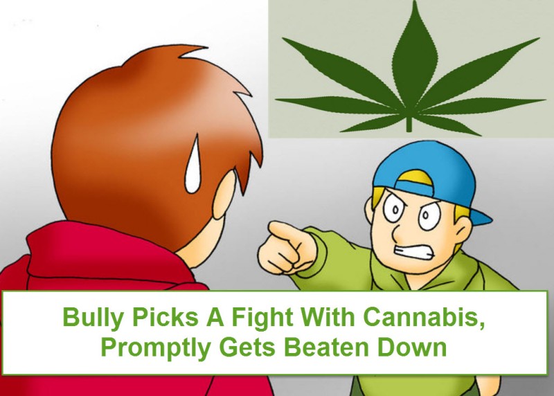 Bully Cannabis