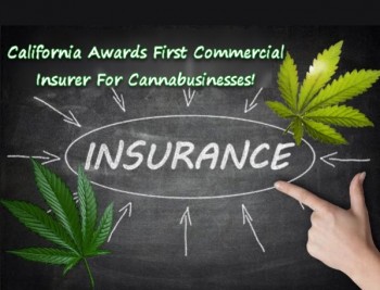 Historic First: California Awards First Commercial Insurer For Cannabusinesses