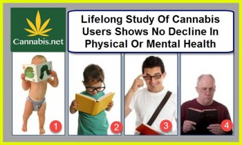 Lifelong Study Of Cannabis Users Shows No Decline In Physical Or Mental Health
