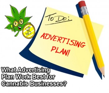 What Advertising Plan Work Best for Cannabis Businesses?