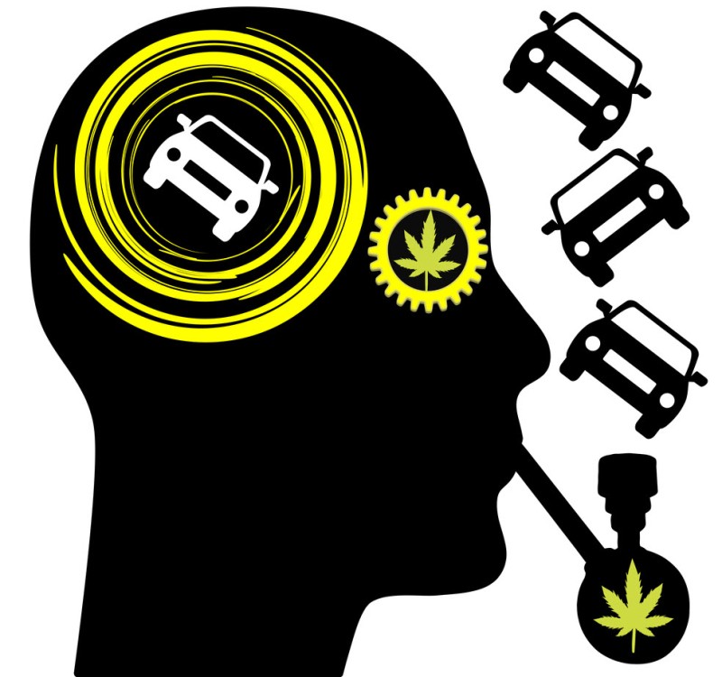 cannabis users driving tests