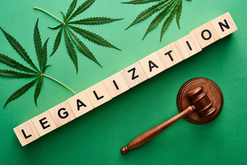 Cannabis Legalization is Definitely a Good Start But It Is Not Enough