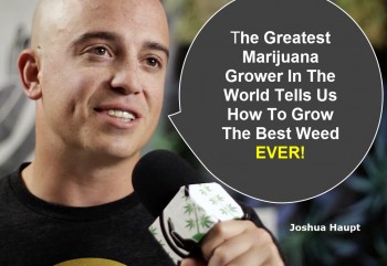 Secrets From The Greatest Marijuana Grower Ever Recorded