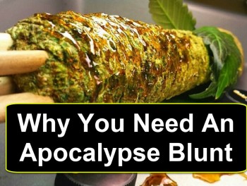 Why You Need An Apocalypse Blunt Today