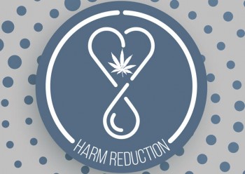 Cannabis and Mental Health: Harm Reduction Strategies