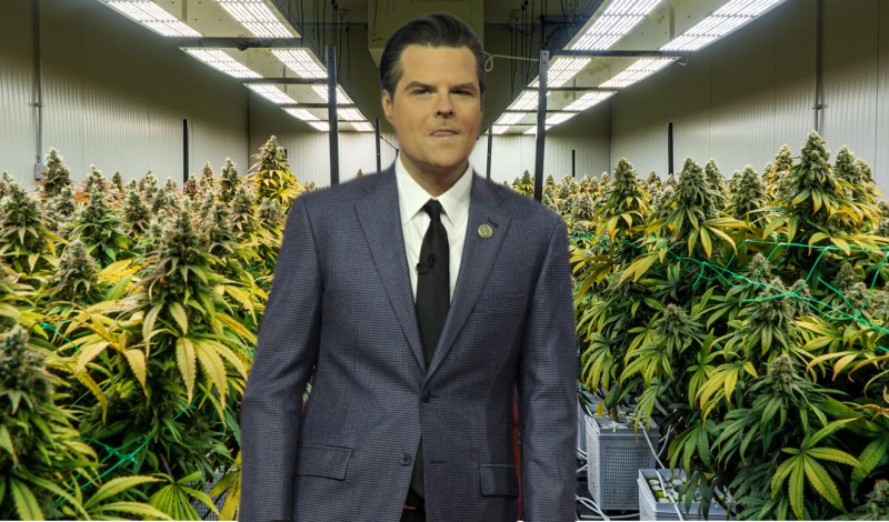 True or False, Matt Gaetz, Trump's Pick for Attorney General, Will Legalize Marijuana in America?