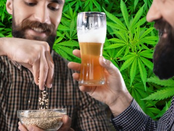 Cannabis-Infused Microbrew Beer? - How to Make Weed-Infused Beer (DIY Step-By-Step Guide)