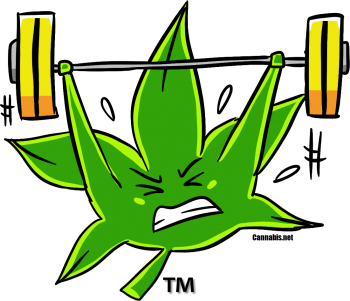 3 Reasons To Add Weed To Your Gym Workout