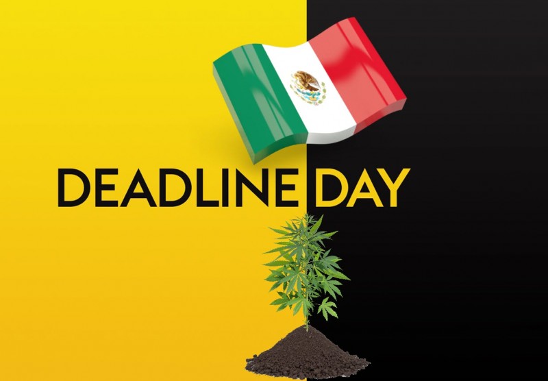 Mexico Deadline Day