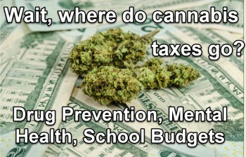 Drug Prevention, Mental Health, School Budgets: Where Your Cannabis Taxes Are Going