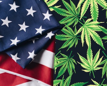 Who are the Next 5 States to Legalize Recreational or Medical Cannabis Starting in 2025?