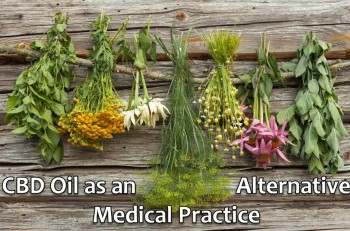 CBD Oil as an Alternative Medical Practice