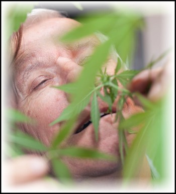 Over 65 and Want to Try Cannabis? - Tips for Trying Cannabis for the First Time if You are a Senior Citizen