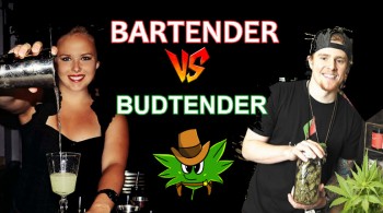 Would You Rather be a Budtender or Bartender?