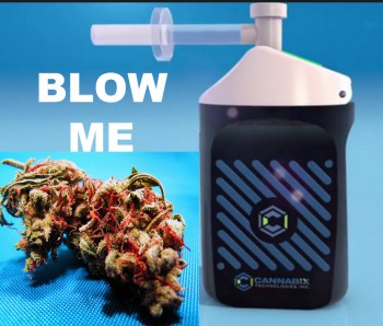 Blow Me ! Stanford Works On THC Breathalyzer For Drivers