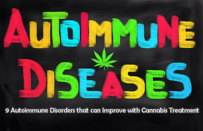 autoimmune disorders and cannabis