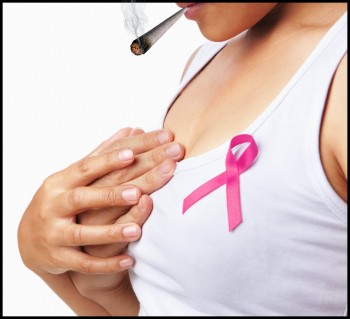 Doobies for Boobies - Arizona Dispensary Trading Joints for Bras to Help Fight Breast Cancer