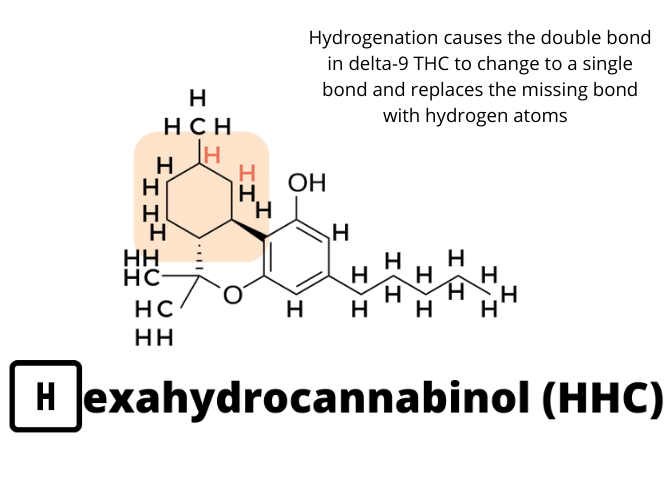 What Is Hexahydrocannabinol (HHC) And Is It Legal?