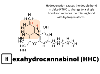 What is Hexahydrocannabinol (HHC) and Is It Legal?