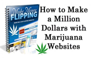 How to Make a Million Dollars with Marijuana Websites