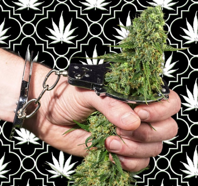criminalizing cannabis does not change usage