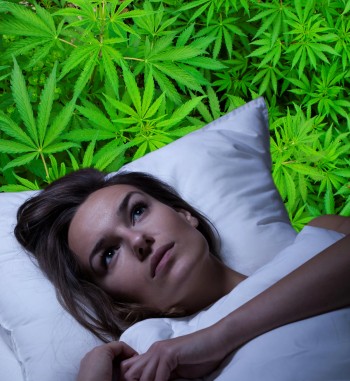 Which Helps You Sleep Better, Alcohol or Cannabis? - New Insomnia Study Shows Why Weed Is Your Best Bet!