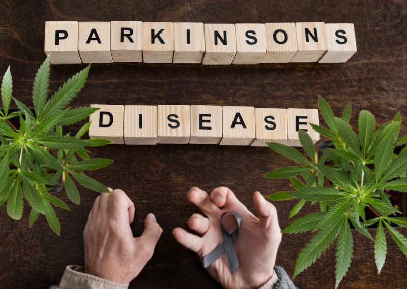 cannabis for parkinsons