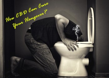 How CBD Can Cure Your Hangover