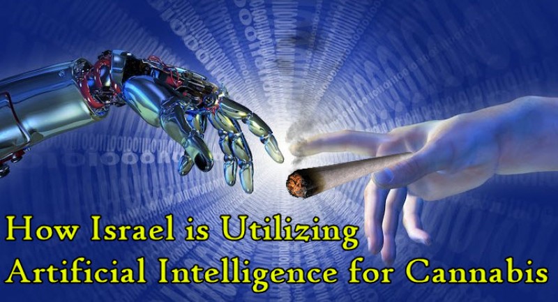 Israel cannabis intelligence