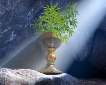 Cannabis Cures COVID - The Elusive Holy Grail Headline the Marijuana Industry Needs for Fast Federal Legalization