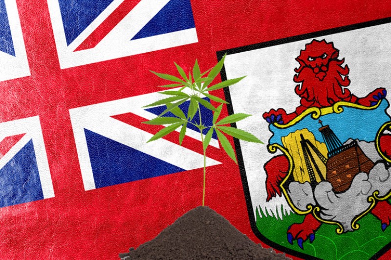 Bermuda cannabis legalization