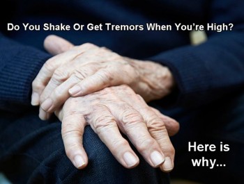 Do You Shake Or Get Tremors When You’re High? Here is Why