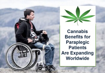 Cannabis Benefits for Paraplegic Patients