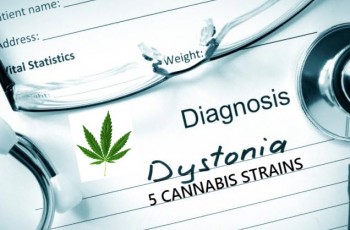 5 Strains for Dystonia Muscle Spasms