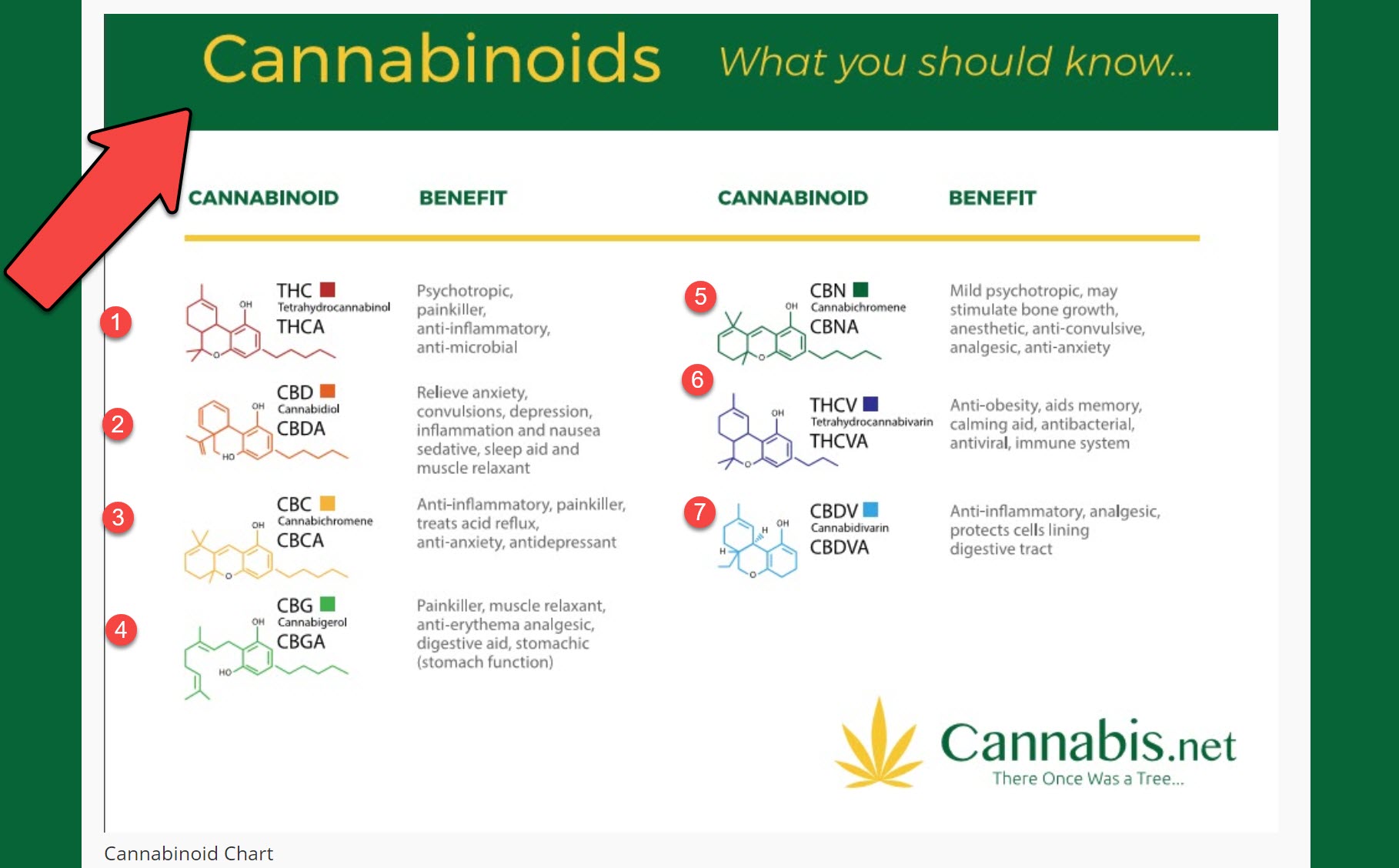 Cannabinoid Chart