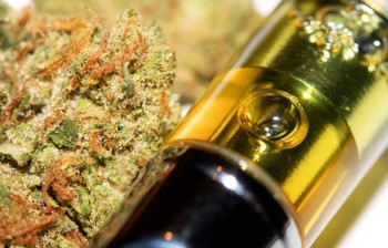 Flower May Be King at the Dispensary, But Cannabis Vapes Are Becoming a Dominant Force Right Behind Buds