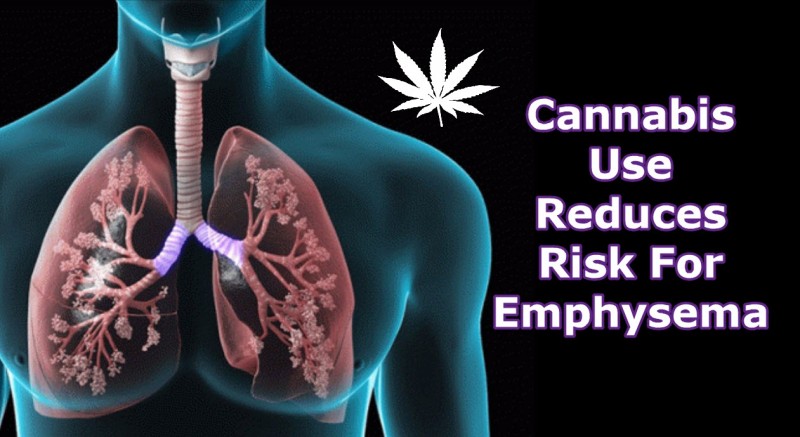 Cannabis and Emphysema
