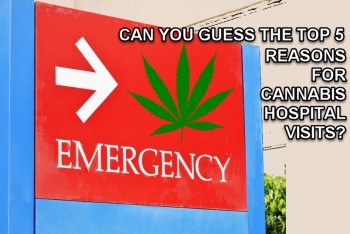 5 Most Common Reasons Cannabis Sends People To Emergency Rooms