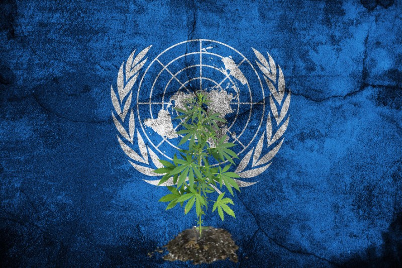 UN cannabis laws