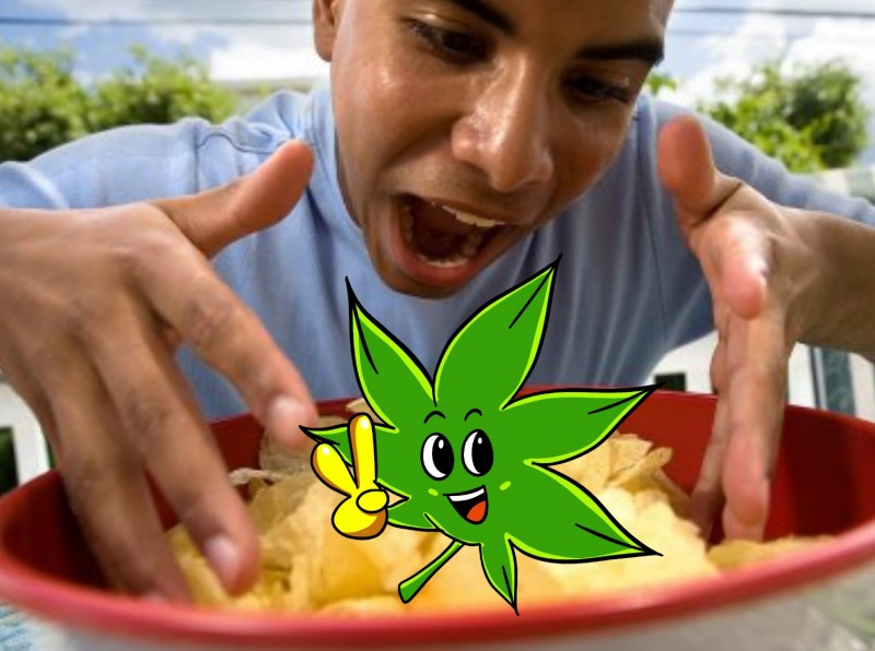 Mmmm. Munchies. Do you eat everything you can get your hands on while high?