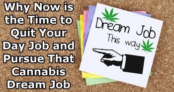 Why Now is the Right Time to Quit Your Day Job and Go For That Cannabis Dream Job