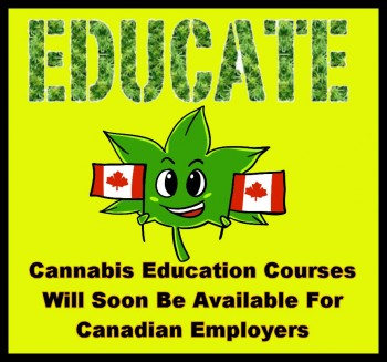 Cannabis Education Courses Will Soon Be Available For Canadian Employers