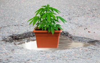 Pot for Potholes? - Michigan Plans to Let Cannabis Tax Revenue Fix the Growing Pothole Problem in the State