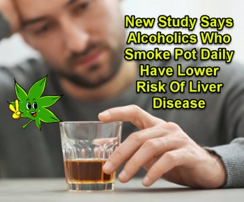 New Study Says Alcoholics Who Smoke Pot Daily Have Lower Risk Of Liver Disease
