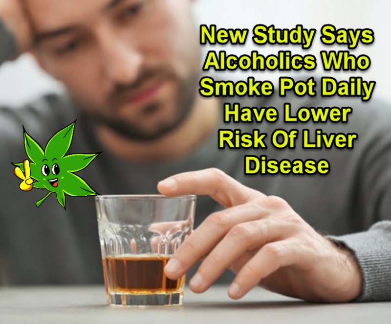 medical marijuana alcoholics
