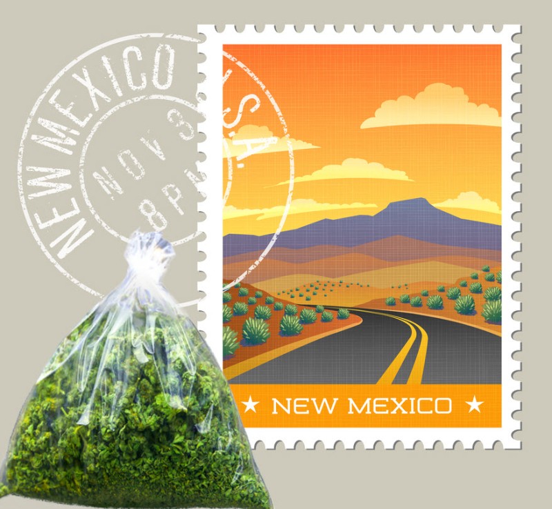 New Mexico marijuana legalization