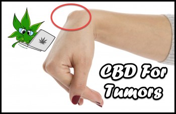New Study Shows Why CBD For Tumors is so Effective
