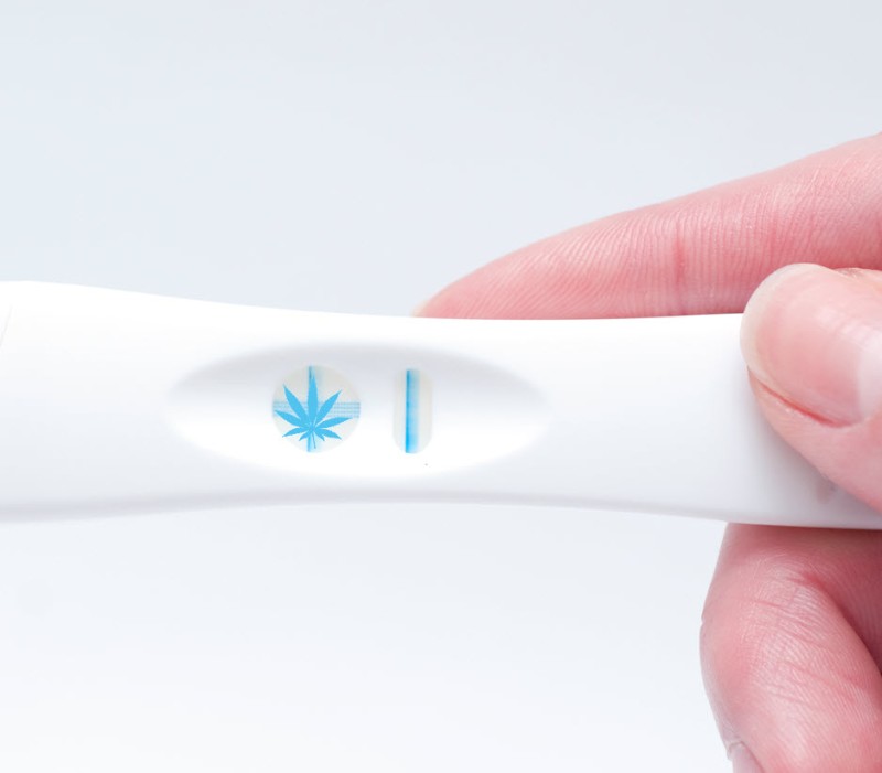 Alabama pregnancy test to buy weed