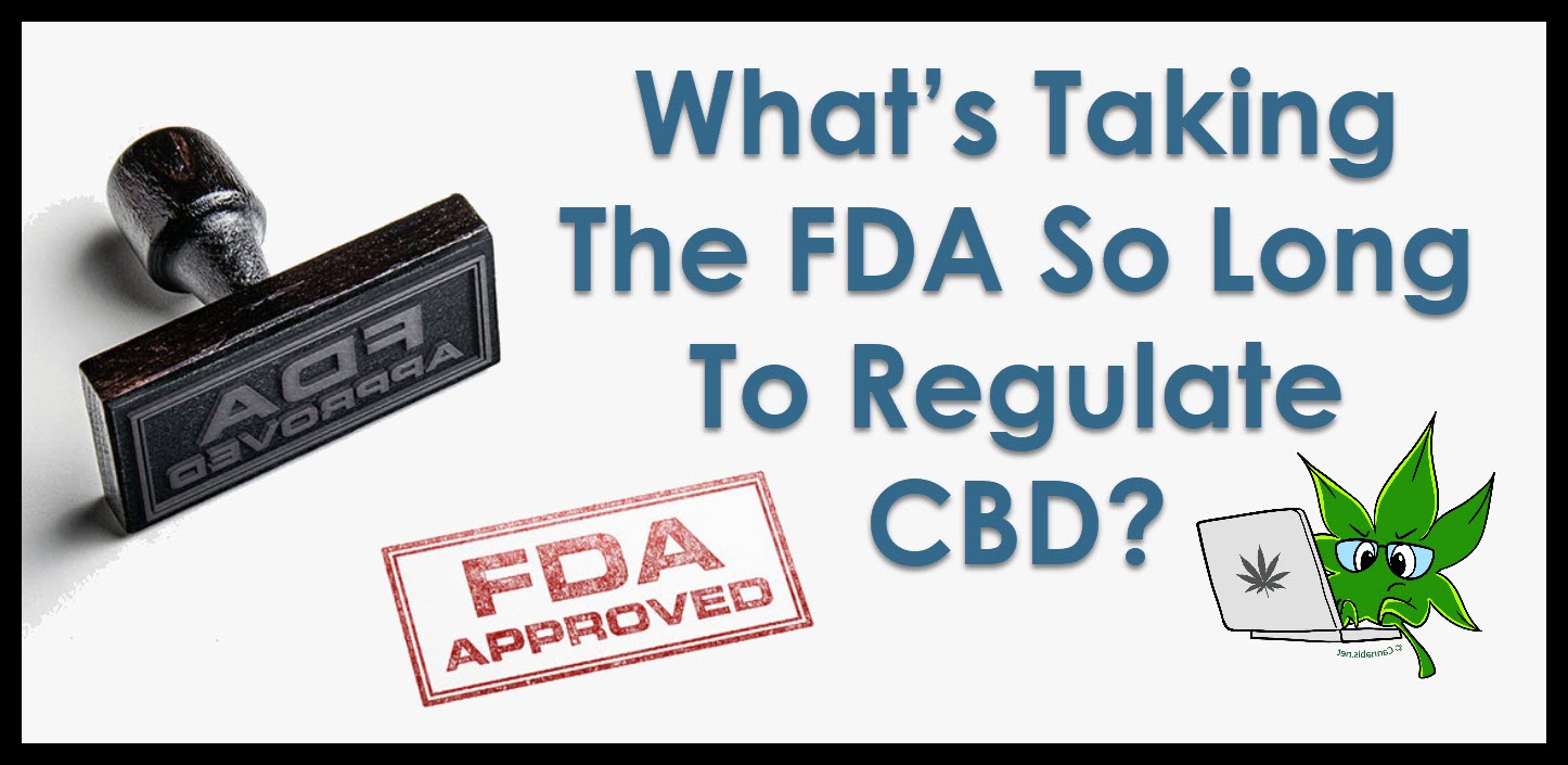 What’s Taking The FDA So Long To Regulate CBD?