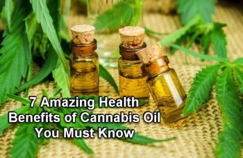 7 Amazing Health Benefits of Cannabis Oil You Must Know